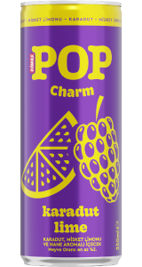 Dimes Pop Charm Karadut Lime ve Nane Aromalı İçecek 250 mL