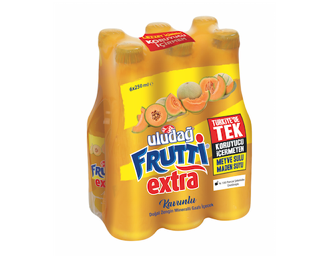 Uludağ Frutti Extra Kavunlu Maden Suyu 6X250 mL